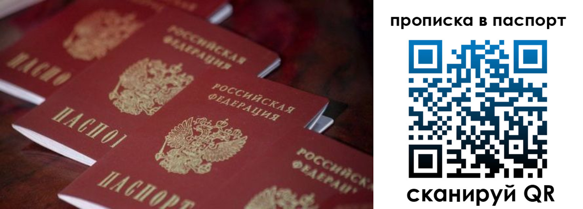 временная регистрация адрес в Камчатской области